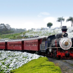 Viagens de trem pelo Brasil: o que saber antes