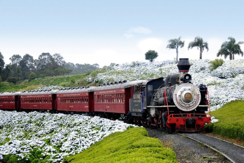 Viagens de trem pelo Brasil: o que saber antes