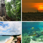 Como a paisagem do destino influencia seu roteiro?