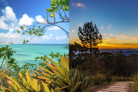 Viagem curta x viagem longa no Brasil: qual a melhor opção?