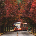 Outono na estrada: destinos perto das capitais para viajar sem pegar avião