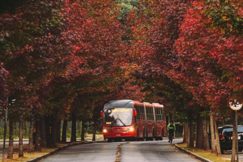 Outono na estrada: destinos perto das capitais para viajar sem pegar avião