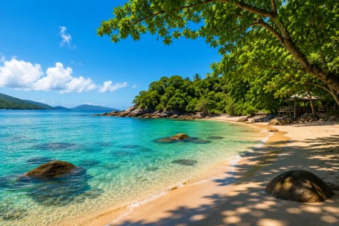Antes que fiquem lotadas: conheça praias tranquilas no Brasil para viajar agora