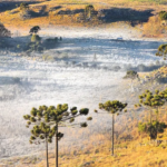 Inverno no Sul do Brasil: o que torna o mês de junho ideal?