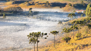 Inverno no Sul do Brasil: o que torna o mês de junho ideal?